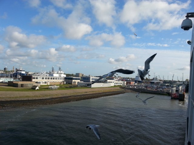 HWK Texel 001.jpg